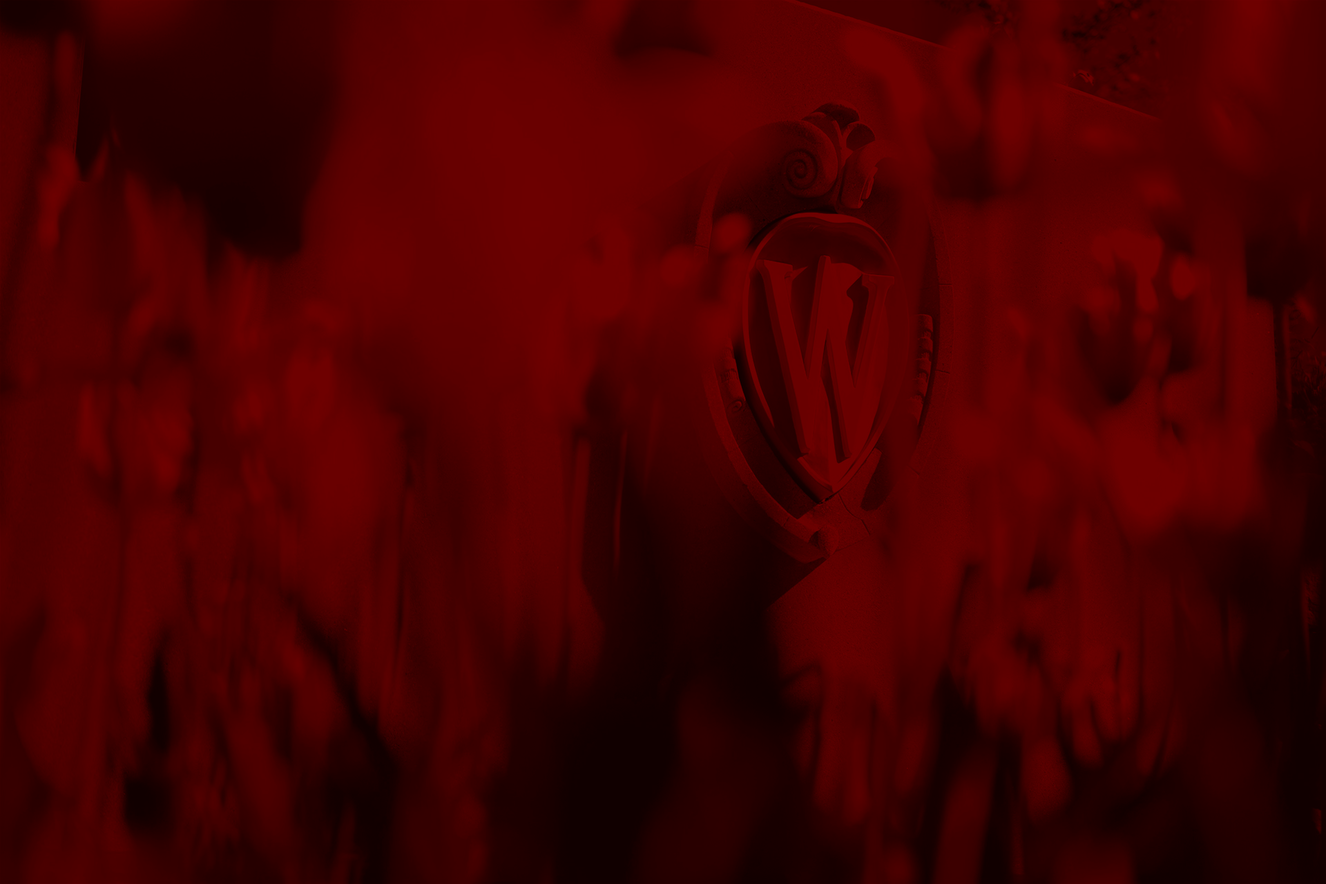 Facts and Figures Background Image