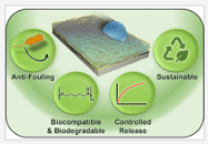Diagram of biodegradable 'slippery' surface features, from left to right: anti-fouling, biocompatible & biodegradable, controlled release, and sustainable